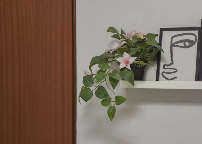 Conide Clínica Vega&hospital Monte Naranco *