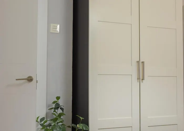 Conide Clínica Vega&hospital Monte Naranco Oviedo